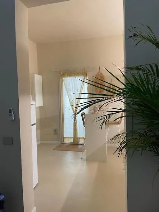 Paleoli House Apartment Lecce 0*,